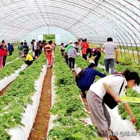 (寻味老家)探寻老家生活手游下载，畅享怀旧乡愁之旅