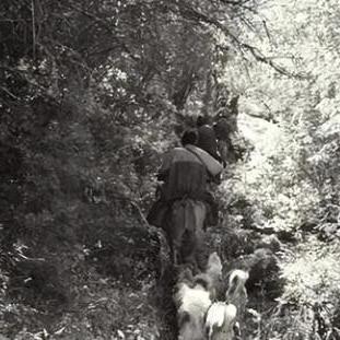 探索未知挑战：前进之路何时迎来突破？献给勇敢者的8大冒险指南！